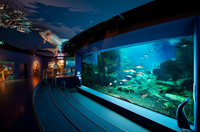 Admission Ticket to Istanbul Aquarium - Ticket - No Hotel Delivery