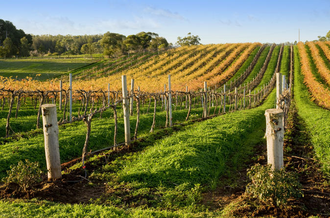 Victor Harbor with McLaren Vale Wine Region Tour from Adelaide