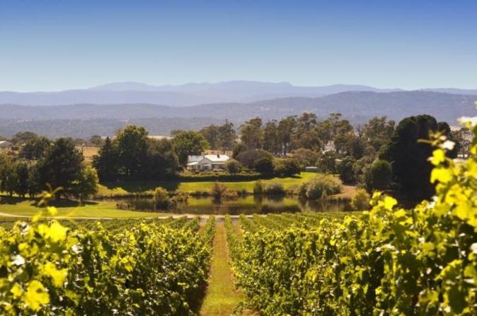 Josef Chromy Wines Winery Tour Including Tasting and Lunch