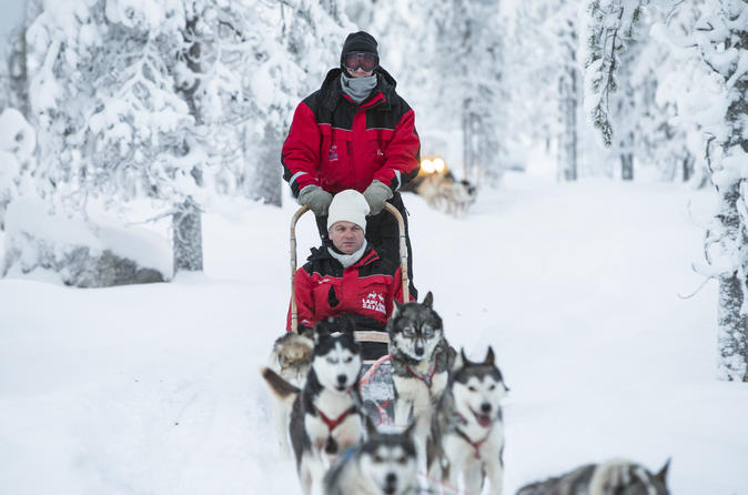 Lapland Husky Sled Ride fra Levi