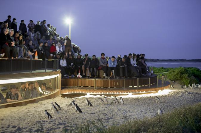 Excursion d'une journée en petit groupe à la découverte Phillip Island, de la faune et de la flore locales, au départ de Melbourne (avec plate-forme d'observation)
