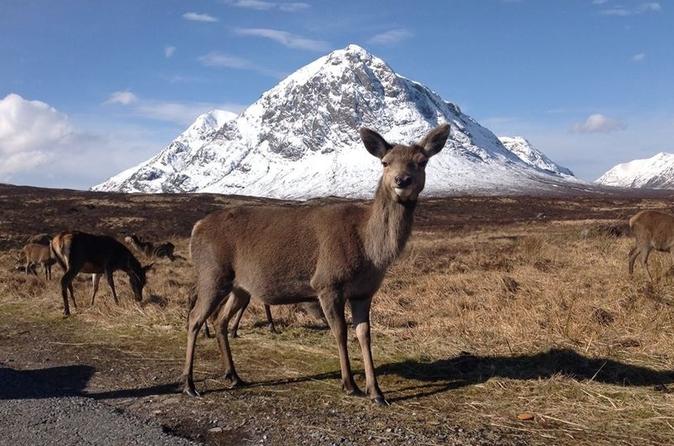 Excursion à Glencoe, au Loch Ness et dans les Highlands au départ d'Édimbourg
