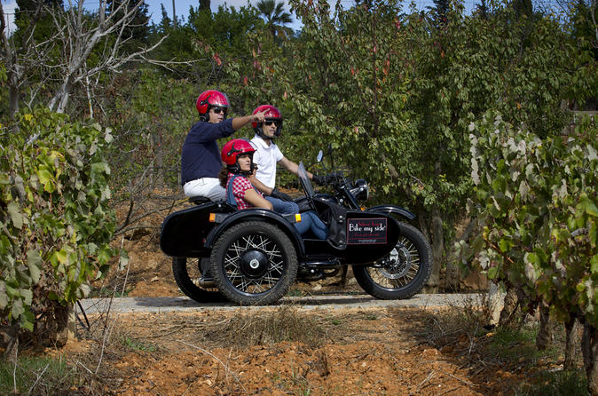 Tour privato dei vini e delle tapas dell'Algarve in sidecar con partenza da Portimão