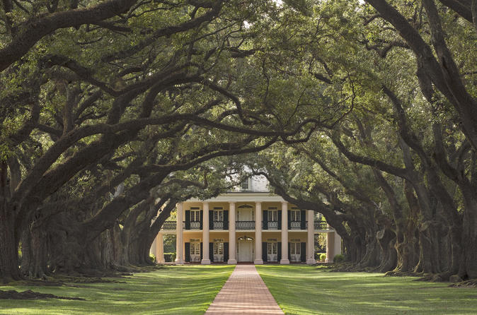 Oak Alley and Whitney Plantation Tour with Transportation 