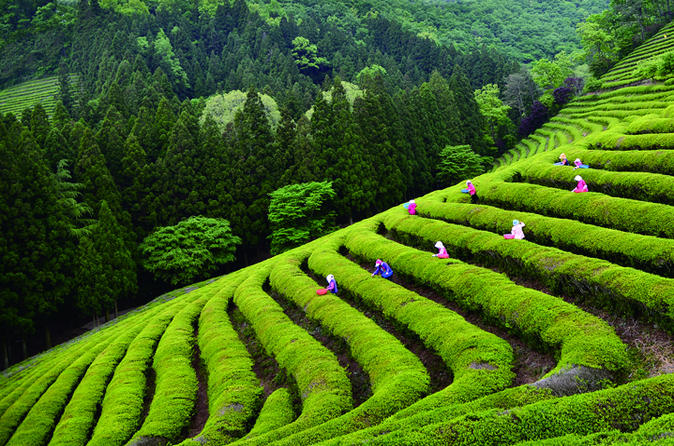 3-tägige Tour durch West-Korea von Seoul nach Busan