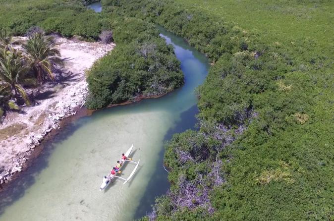 Mangrove Kayak Ecotour from Galion Beach