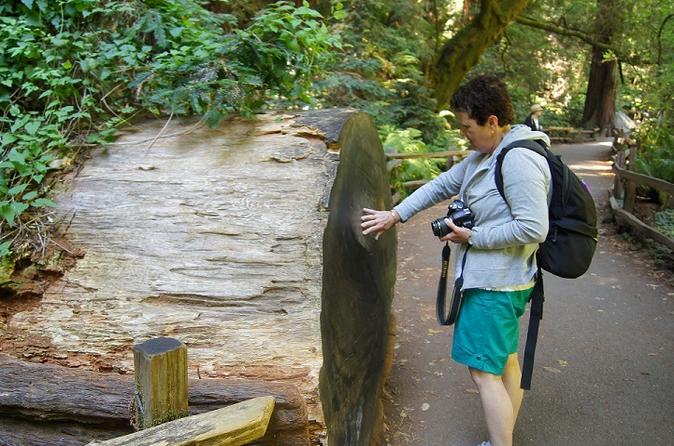 Nature Lovers Experience - California's Redwoods with Aquarium Visit