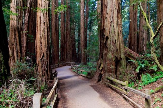 Shore Excursion: Coastal Redwoods and San Francisco Hop-On Hop-Off Tour