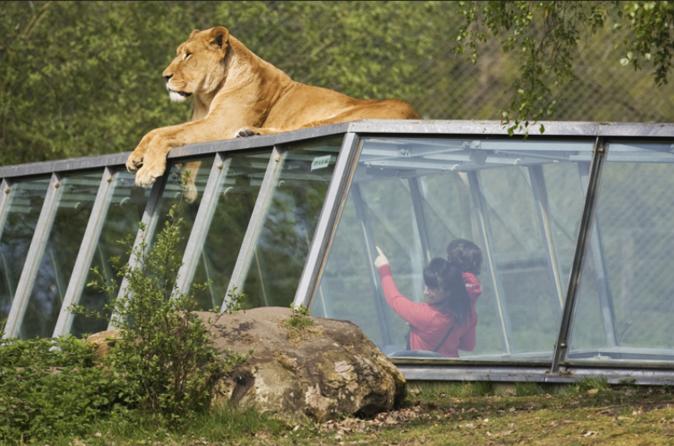 Thoiry Zoo Safari Skip the Line Ticket
