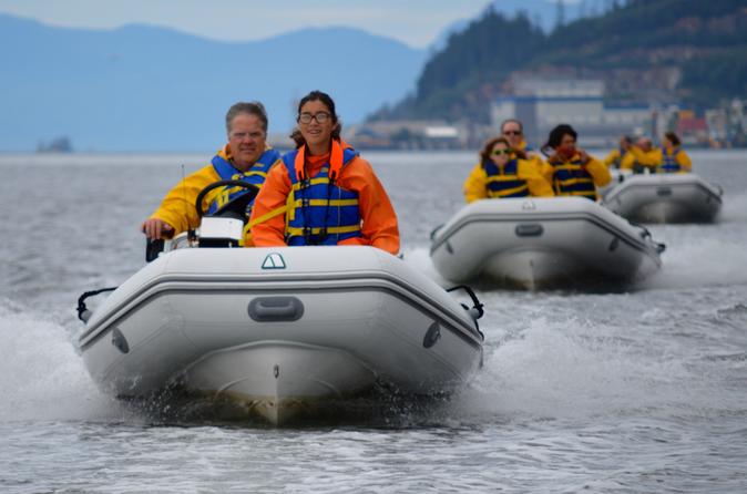 Ketchikan Shore Excursion: Zodiac Wildlife Adventure