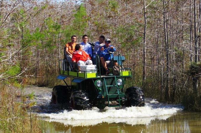 Private Buggy and Walking Tour Through the Everglades