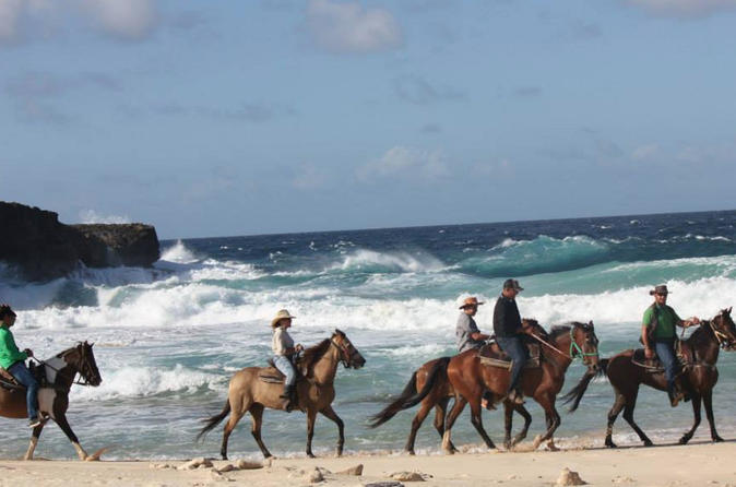 Activities In Oranjestad Aruba Lonely Planet Aruba S Excursion Natural Pool Swim Horseback Riding