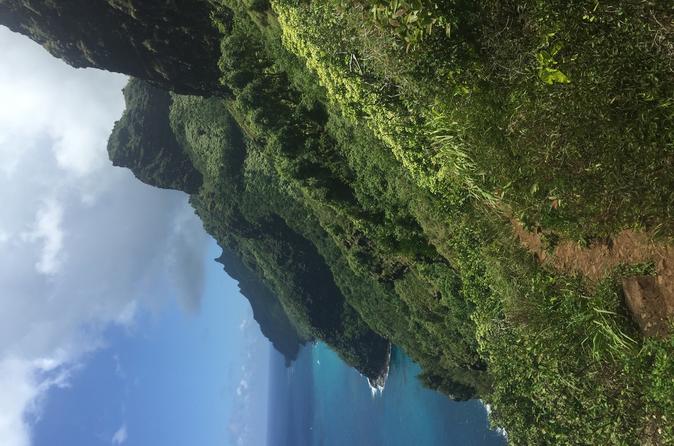 Wild Coastline Adventure- Half day