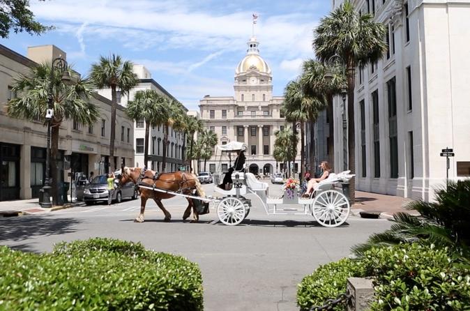 Private Horse Drawn Carriage Tour - Savannah
