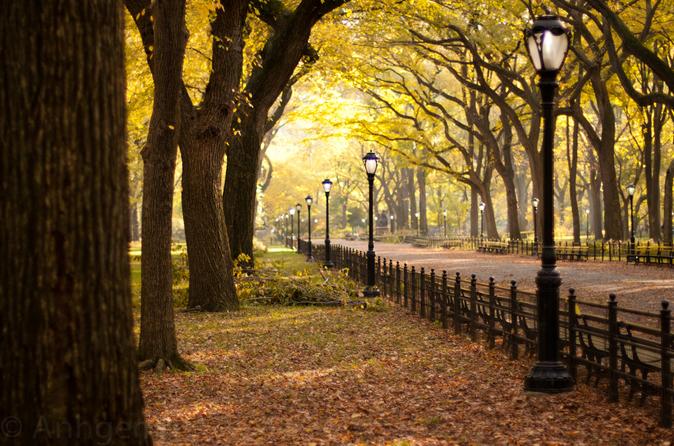 Sunset Tour of Central Park - 4:30pm Departure