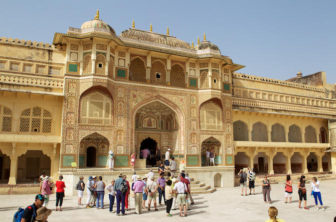 Private Jaipur Day Trip from Delhi with Elephant Ride