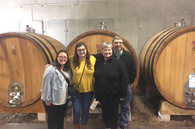 Visite d'une demi-journée en petit groupe, vins du Languedoc, Pic Saint-Loup, au départ de Montpellier