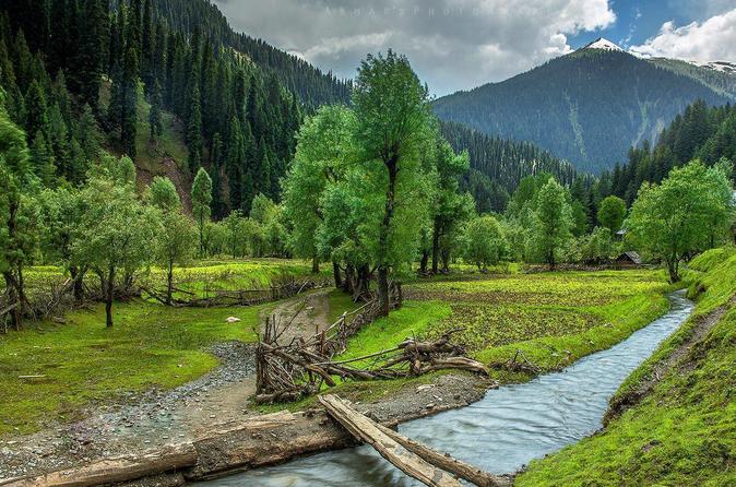 5 Nights & 6 Days Private Tour - Kashmir