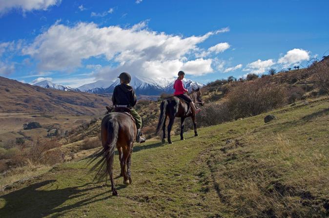 Small-Group Gold Discovery Horse Riding in Cardrona Valley