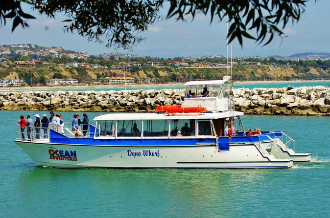 Luxury Catamaran Sunset and Wine Cruise from Dana Point