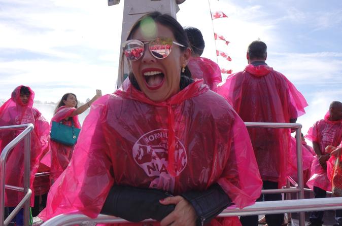 Niagara Falls Small-Group Tour from Toronto