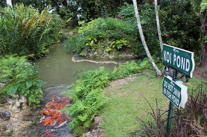 Ocho Rios Sightseeing Garden Tour With Fern Gully And