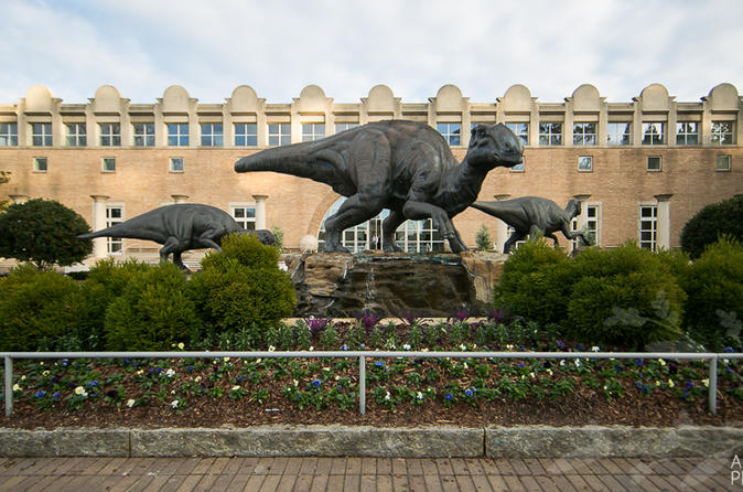Small Group Tour To Fernbank Museum Of Natural History - Atlanta