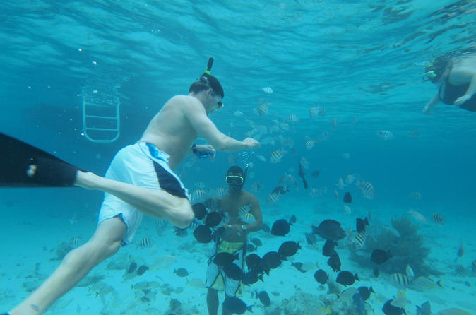 Stingray City 2 Stop Snorkeling Barrier Reef C Gardens 2019 Stingray City Experience Plus Two Snorkeling Stops