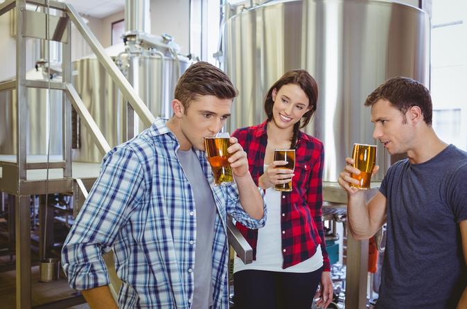 Private Virginia Craft Beer Tour