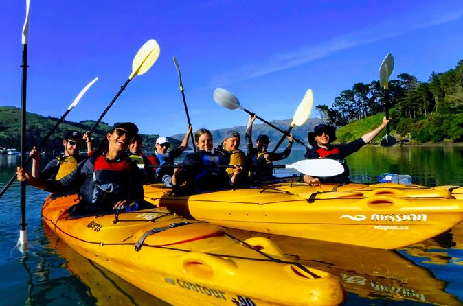Shore Excursion: Scenic Cruiser Sea Kayaking Safaris in Akaroa