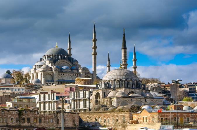 A Fully Guided Afternoon Tour of Istanbul's Sights