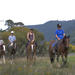 Horse Trek Farm Tour