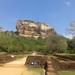 Sigiriya Day Tour|Dambulla Cave Temple
