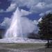 yellowstone-lower-loop-full-day-tour-in-jackson-304391