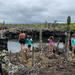5-Day Guided Galapagos & Los Tuneles Tour