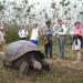 7-Day Tour of Galapagos and Quito Including Hotel and Transfers