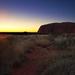 Uluru Field of Light Sunrise Tour