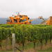 Full-Day Wine Gourmet and Scenic Delight Tour of Marlborough from Picton