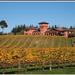 Private Tour: Marlborough Winter Wine and Scenic Tour from Picton