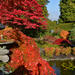 Butchart Gardens in the Fall, Shuttle & Entry 2019