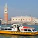 72 Hour Venice Transportation Pass