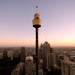 Sydney Shore Excursion: Sydney Tower Restaurant Buffet