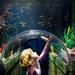 sydney-attractions-pass-sea-life-aquarium-sydney-tower-eye-wild-life-in-sydney-569981