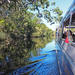 Noosa Everglades Serenity Cruise