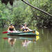Noosa Everglades Wilderness Cruise with Canoe Trip