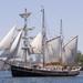 sydney-harbour-afternoon-tall-ship-discovery-cruise-in-sydney-47961