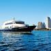Super Saver: Brunch Cruise and Patriot Jet Boat Ride