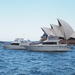 Small-Group Sydney Harbour Morning Tea Cruise