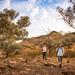  Flinders Ranges 3 Day 4WD Small Group Eco Tour from Adelaide
