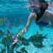Freeport Snorkeling and Catamaran Cruise to Peterson Cay National Park